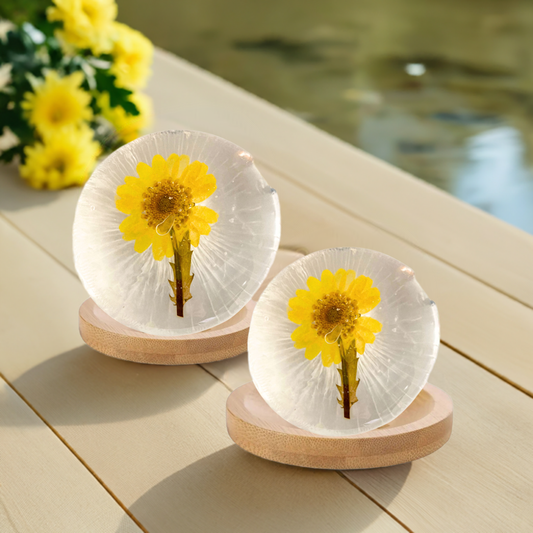 Collagen Face Wash Flowering Plant Soap Amino Acid Essential Oils Bamboo Soap Dish Set of 2