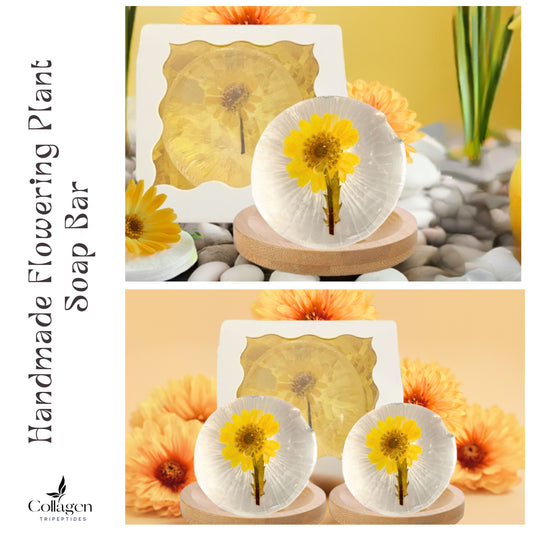 Collagen Face Wash Flowering Plant Soap Amino Acid Essential Oils Bamboo Soap Dish Set of 2