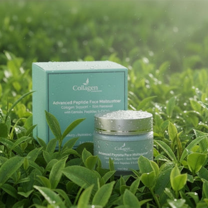 PRE-ORDER - GHK-Cu Face Cream with CoQ10, Centella Asiatica, Hydrolyzed Collagen, Age-Defying Moisturizer