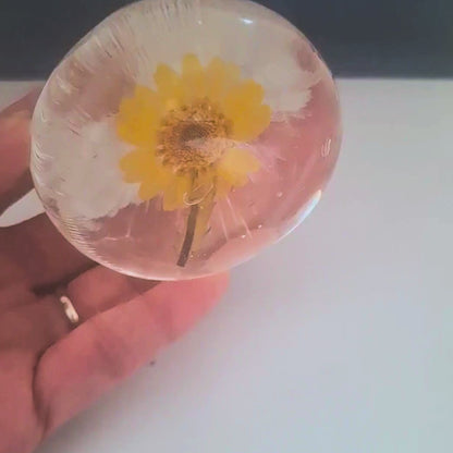 Collagen Face Wash Chrysanthemum Soap Amino Acid Essential Oils Bamboo Soap Dish